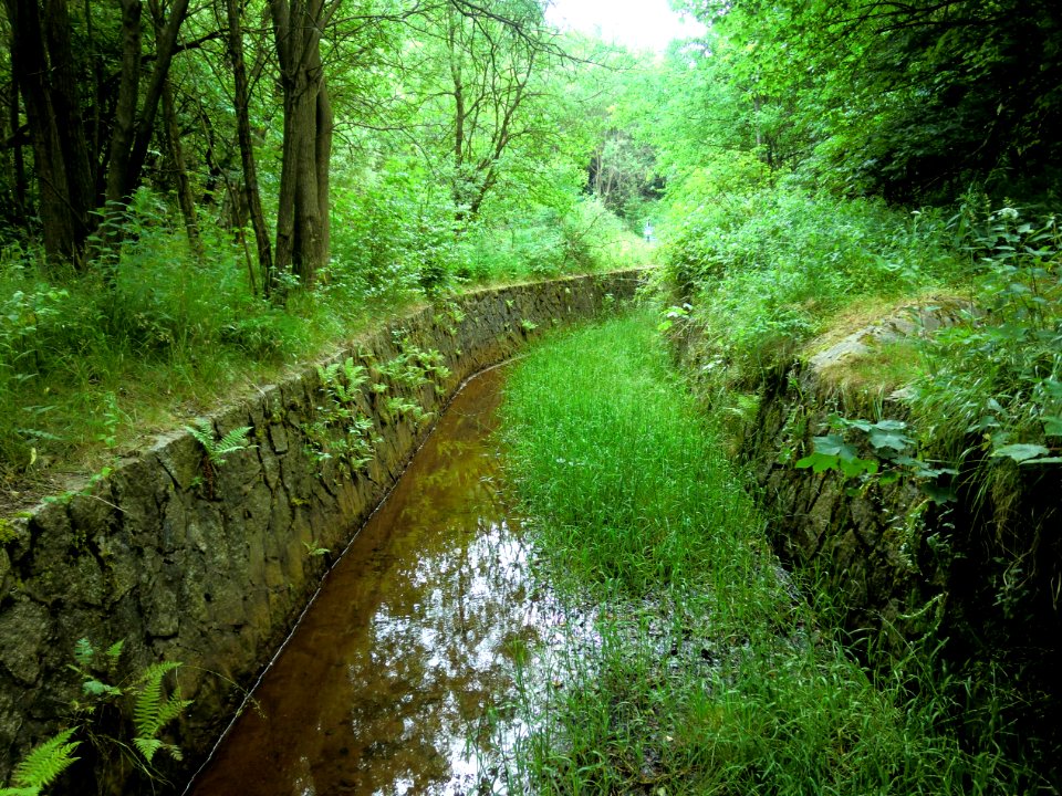 Altenberg Aschergraben 01