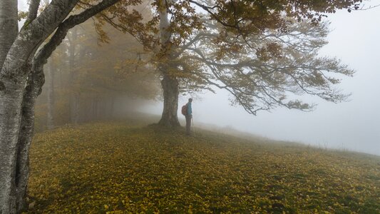 Hike silent autumn mood photo