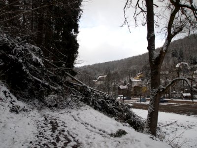 Altenbrak 2018 Bodeweg Parkplatz (3)