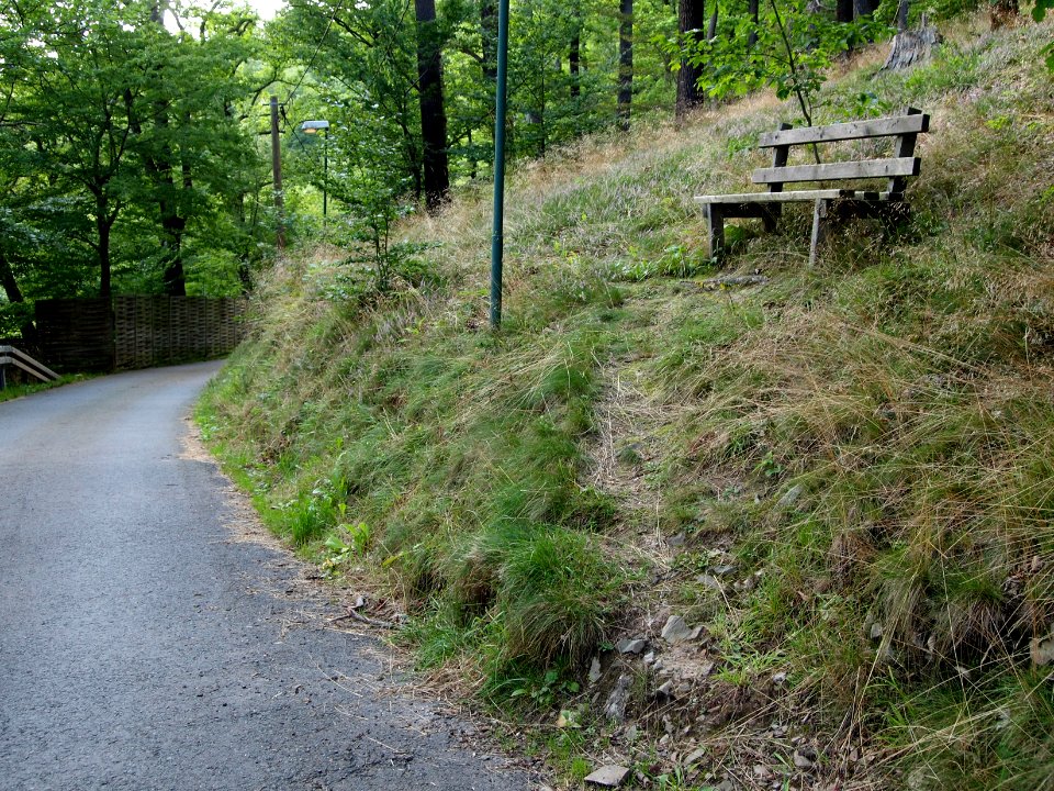 Altenbrak Bank Forstweg
