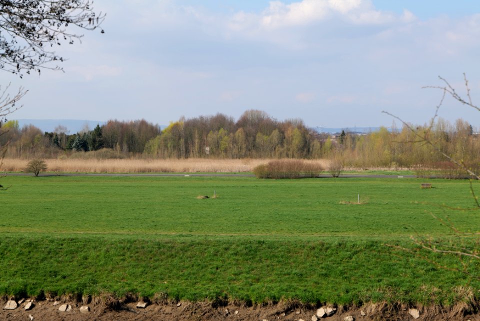 Alter Flugplatz Frankfurt 2020-04-22 03