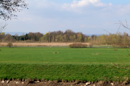 Alter Flugplatz Frankfurt 2020-04-22 03