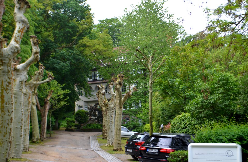 Alsbach, Hindenburgstraße 2 (1)