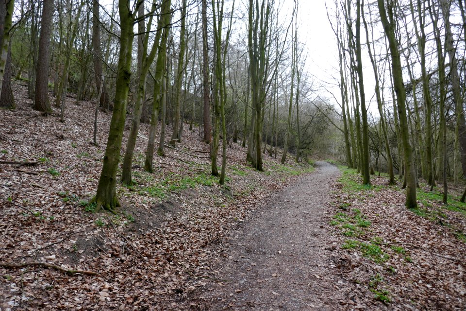 Altenbeken - NSG Hossenberg - 3