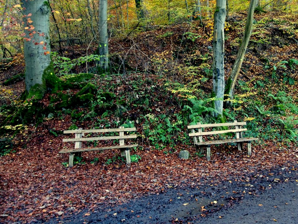 Altenbrak Baenke (2)
