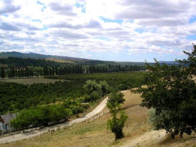 Alma Valley6