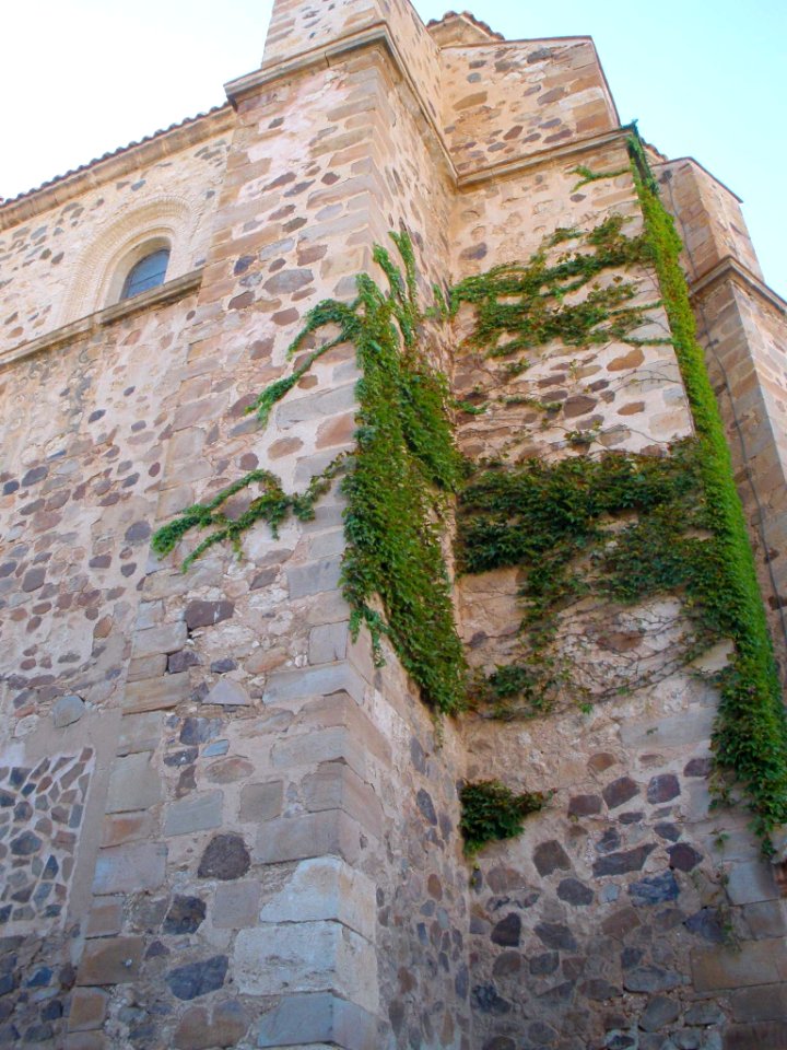 Almagro - Iglesia de la Madre de Dios 05