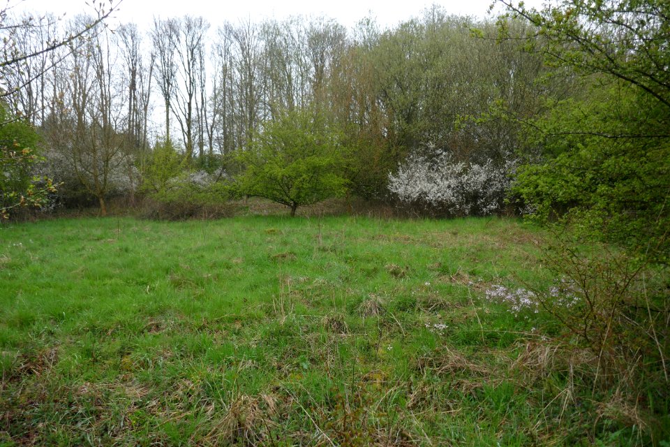 Altenbeken - NSG Sommerberg-Ortwald - 02
