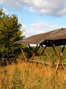 Altenbrak Bachs Hoehe