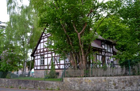 Alsfeld, Schützenrain 2 (2)