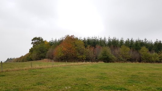 Alster-Hügelgräber Im Kollerwinkel (3)