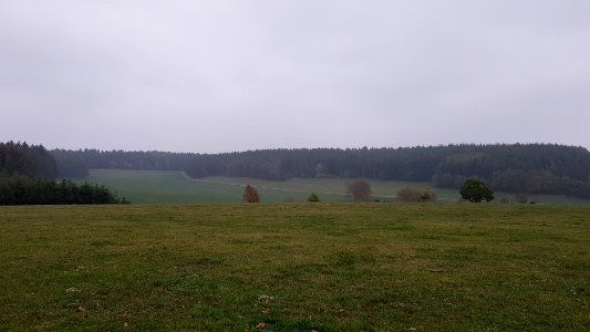 Alster-Hügelgräber Im Kollerwinkel (8)