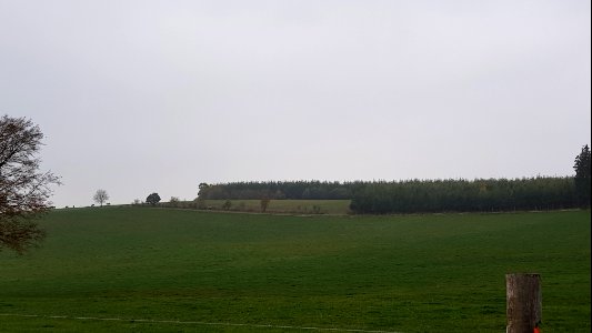 Alster-Hügelgräber Im Kollerwinkel (15)