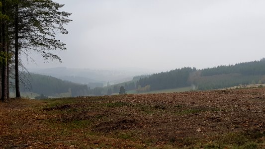 Alster-Landschaft in der Nähe von Alster