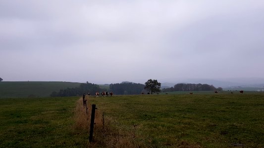 Alster-Hügelgräber Im Kollerwinkel (7)