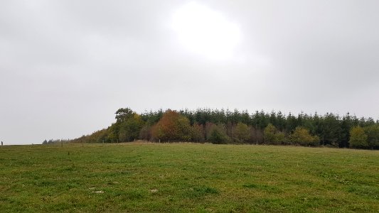 Alster-Hügelgräber Im Kollerwinkel (2)
