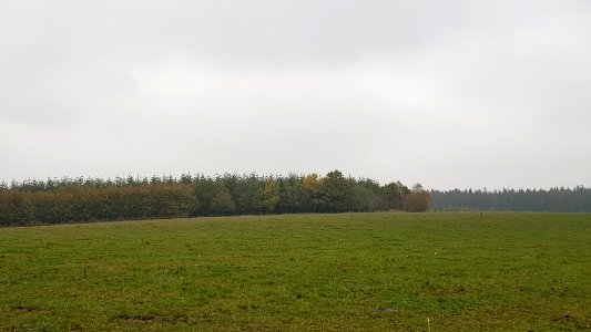 Alster-Hügelgräber Im Kollerwinkel (14)