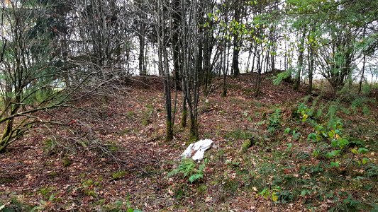 Alster-Hügelgräber Im Kollerwinkel (9)