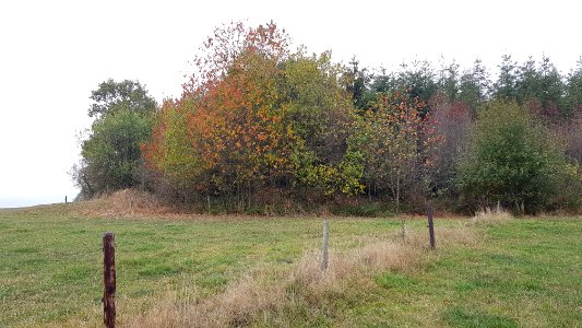 Alster-Hügelgräber Im Kollerwinkel (4)
