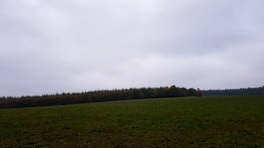 Alster-Hügelgräber Im Kollerwinkel (11)
