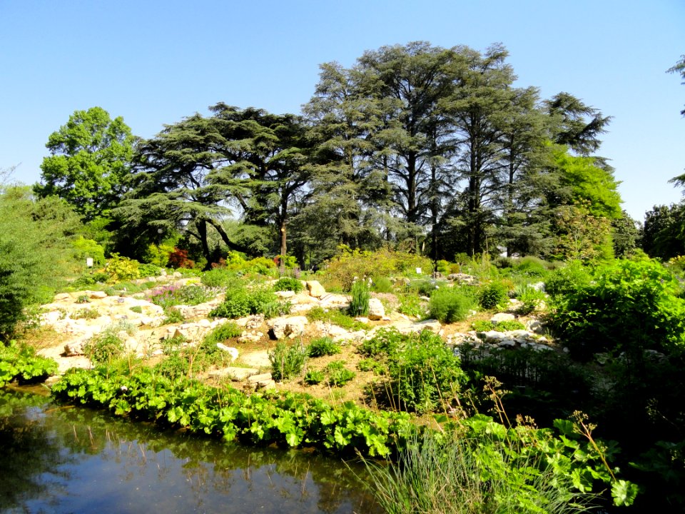 Alpine Garden - Jardin Botanique de Lyon - DSC05312