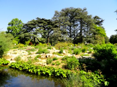 Alpine Garden - Jardin Botanique de Lyon - DSC05312