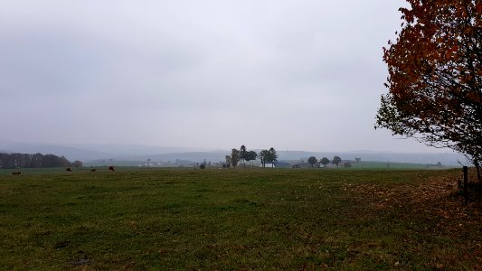 Alster-Hügelgräber Im Kollerwinkel (6)