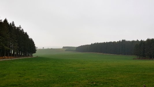 Alster-Hügelgräber Im Kollerwinkel (16)