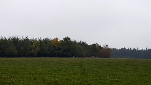 Alster-Hügelgräber Im Kollerwinkel (12)