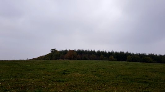 Alster-Hügelgräber Im Kollerwinkel (1)