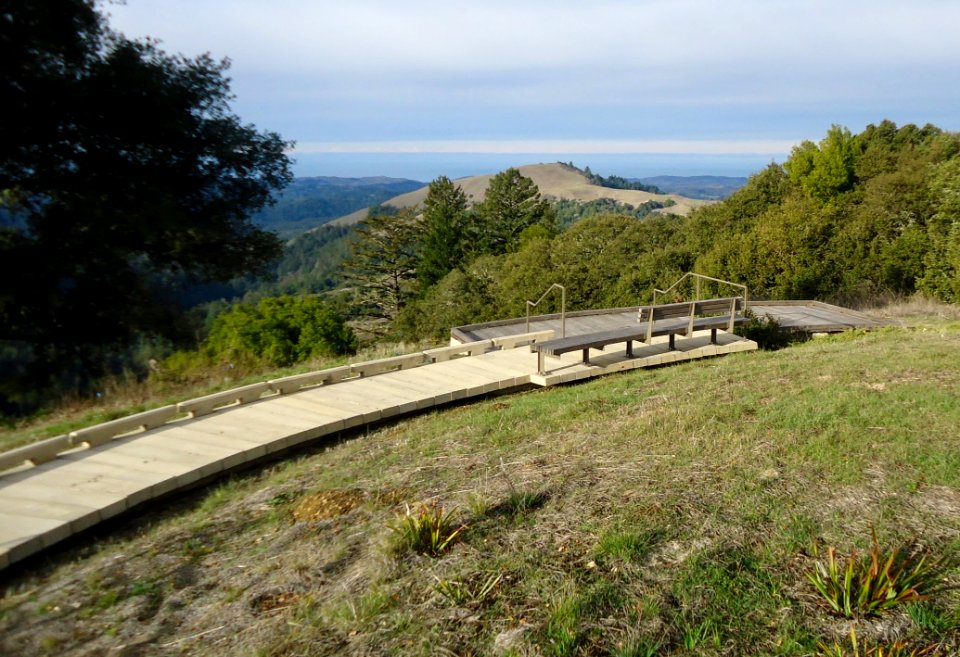 Aubrey's Way path in Santa Cruz Mountains