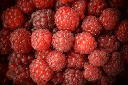 Red sweet background