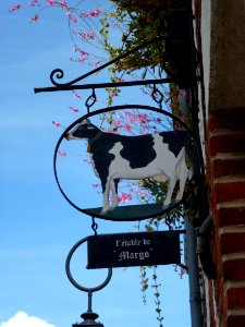 Aubenton (Aisne) enseigne vache