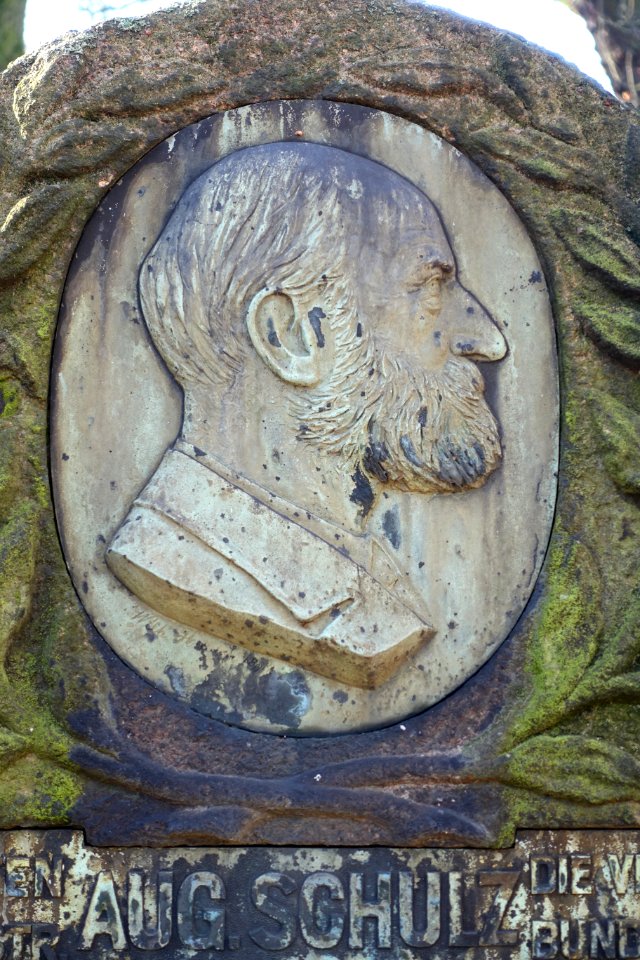 August Schulz, composer and music director, 1837-1909, view 2 - Dom- und Magnifriedhof - Braunschweig, Germany - DSC04258