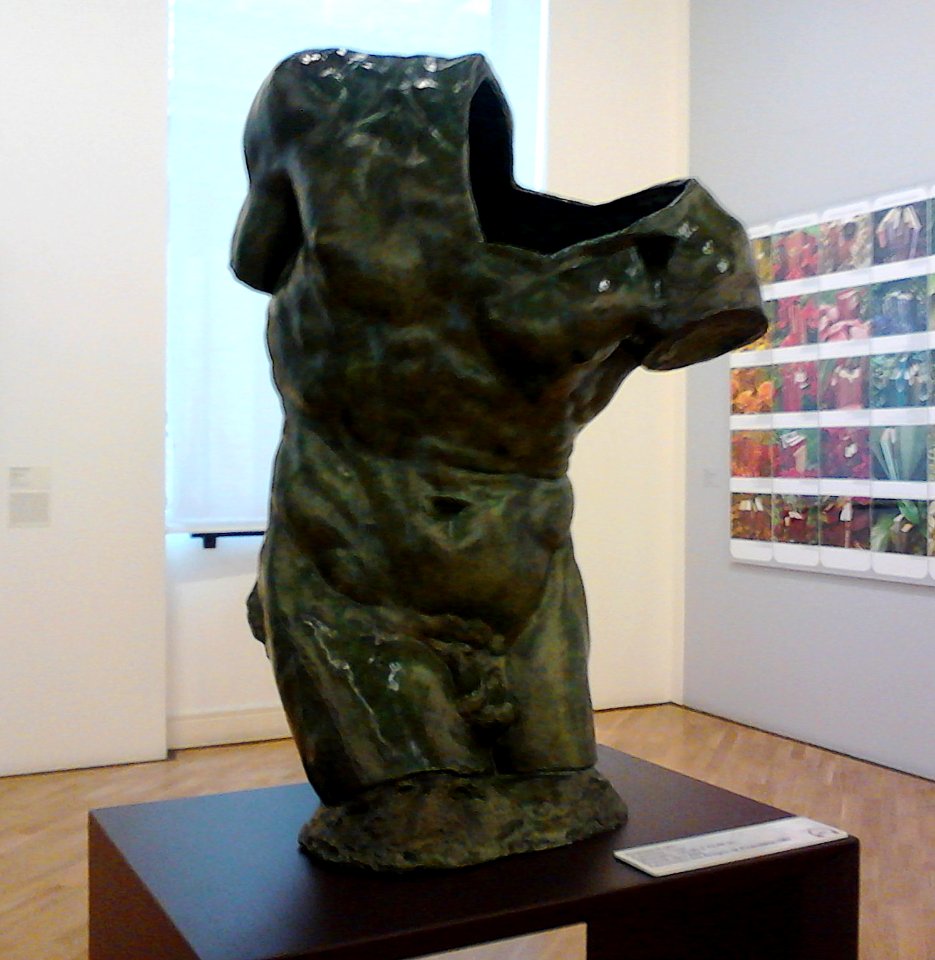 Auguste Rodin - Torso - Sombra