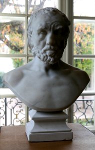 Auguste Rodin L'Homme au nez cassé Marbre Musée Rodin 31102018 1