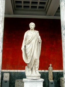 Augustus togatus photo