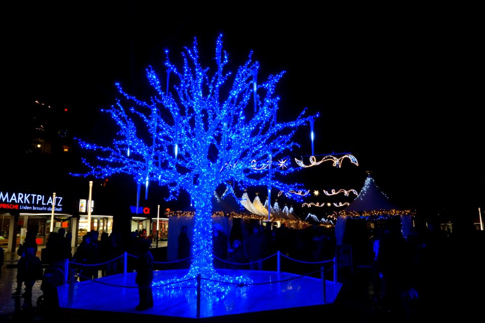 Augustusmarkt 2013 tree - Dresden, Germany - DSC07799