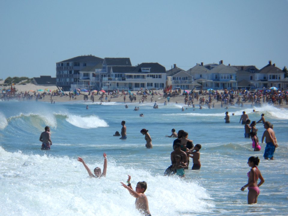 Atlantic Swimmers