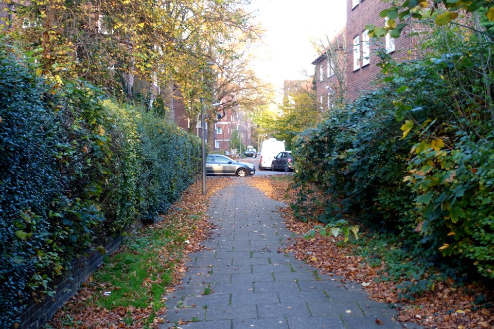 Auersreihe in Hamburg-Horn
