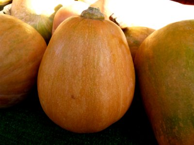 Au marché - butternut