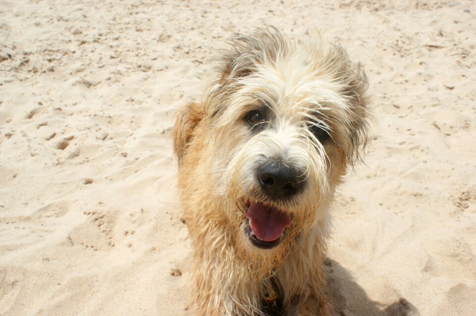 Beach smile portugal