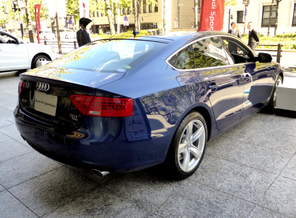 Audi A5 Sportback 2.0 TFSI quattro (8TCDNL) rear