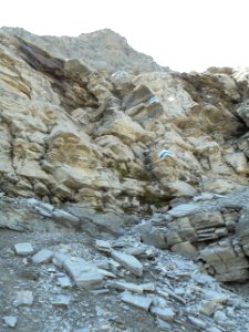Auf dem Hüttenweg zur Guggi-Hütte