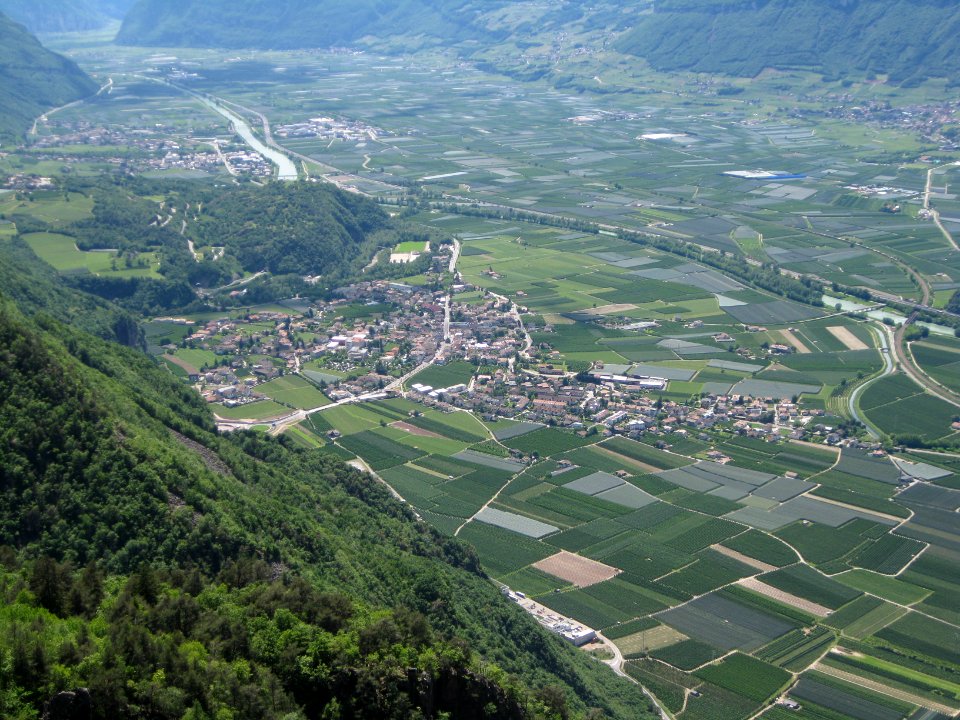 Auer, Castelfeder und Neumarkt