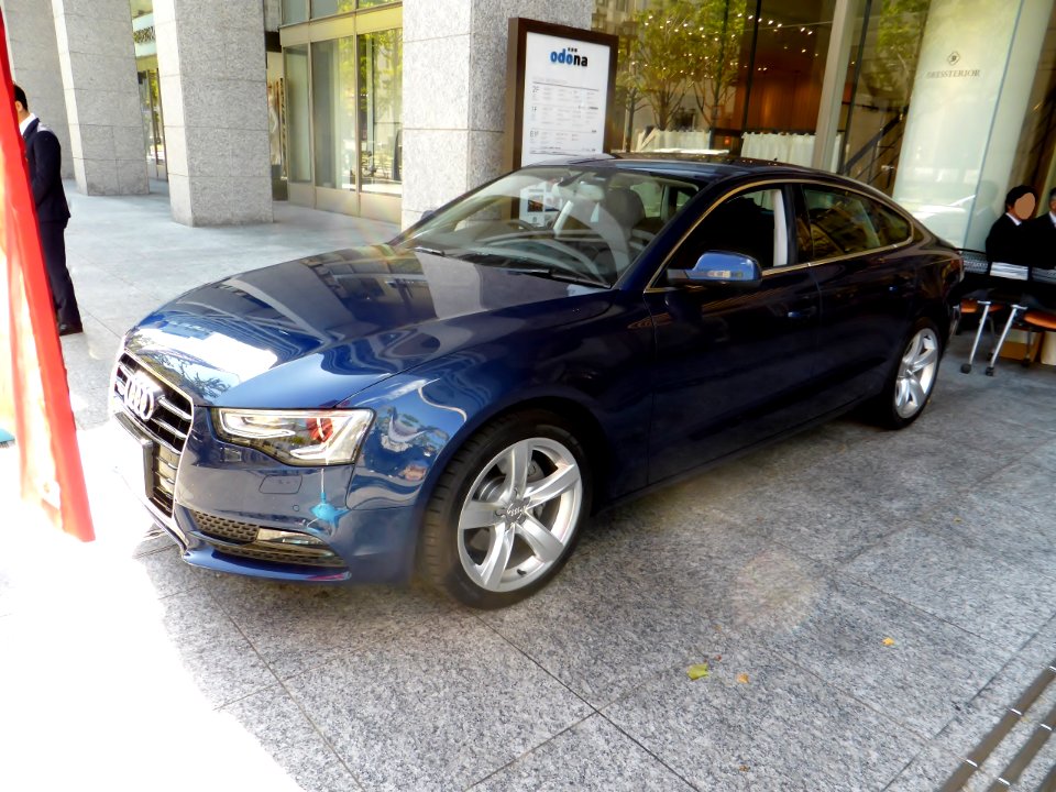 Audi A5 Sportback 2.0 TFSI quattro (8TCDNL) front