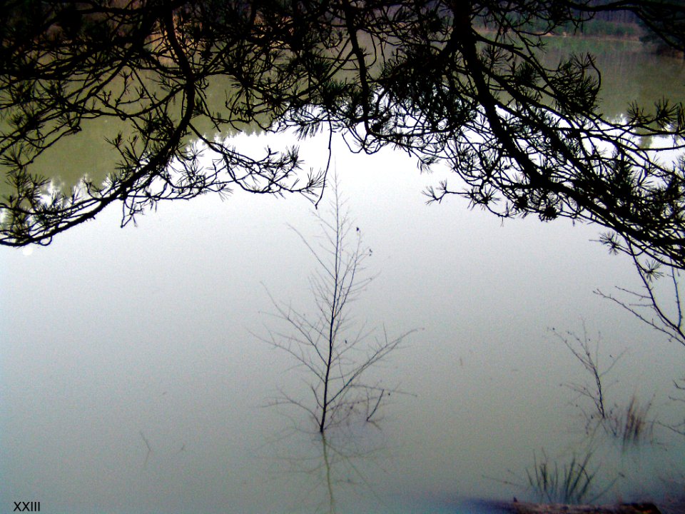 Au Bord De L Eau (64953851)