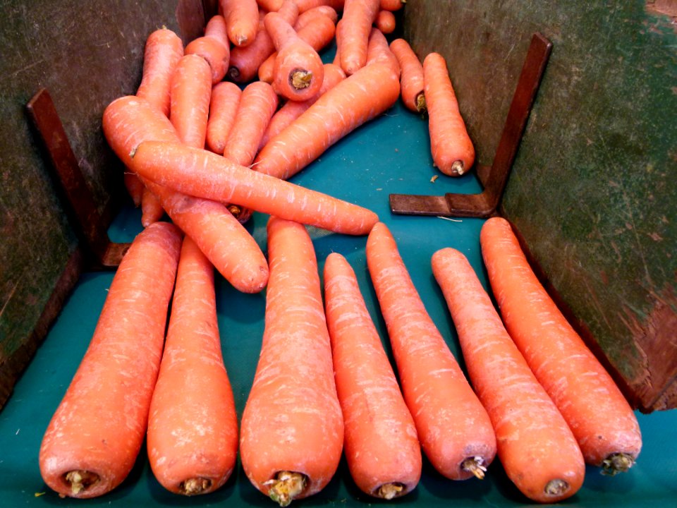 Au marché - Carottes