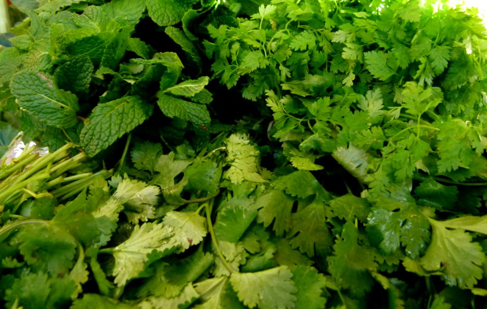 Au marché - persil et menthe