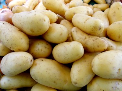 Au marché - pommes de terre photo